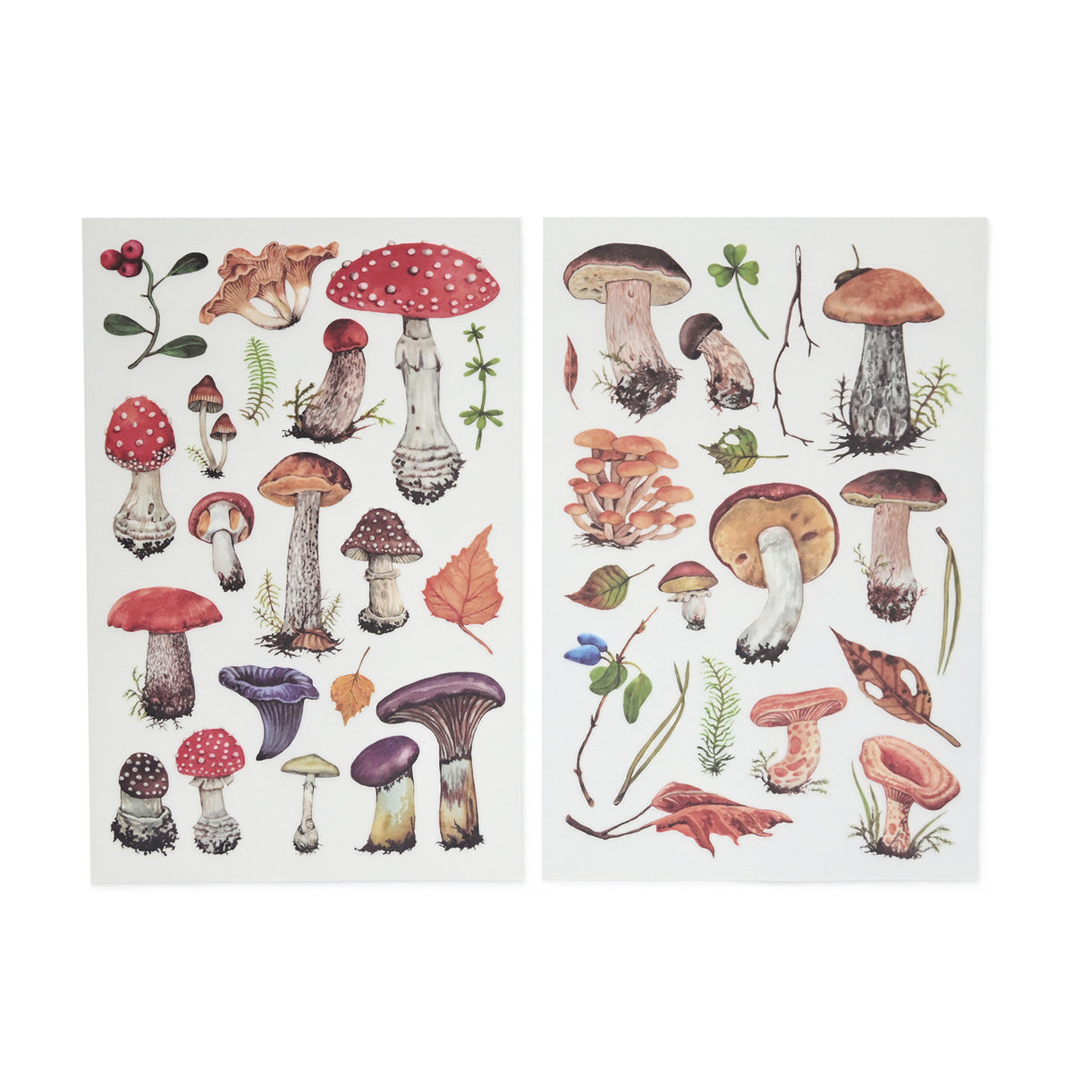 Mushroom and fern rub-on stickers with woodland botanical details