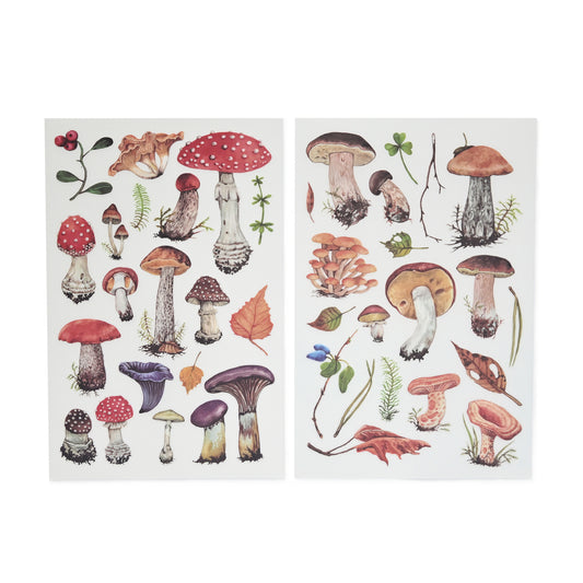 Mushroom and fern rub-on stickers with woodland botanical details